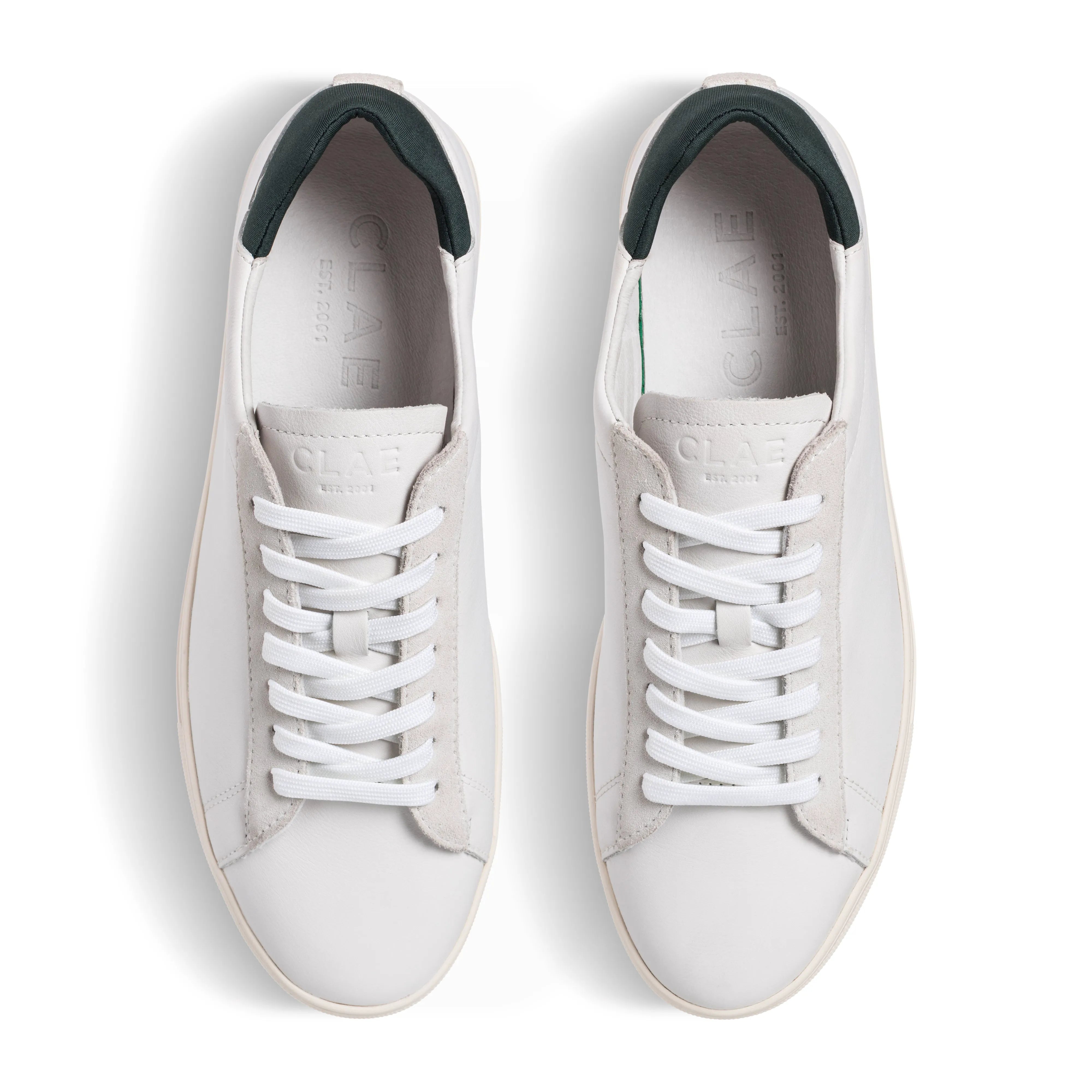 White Leather Dark Forest