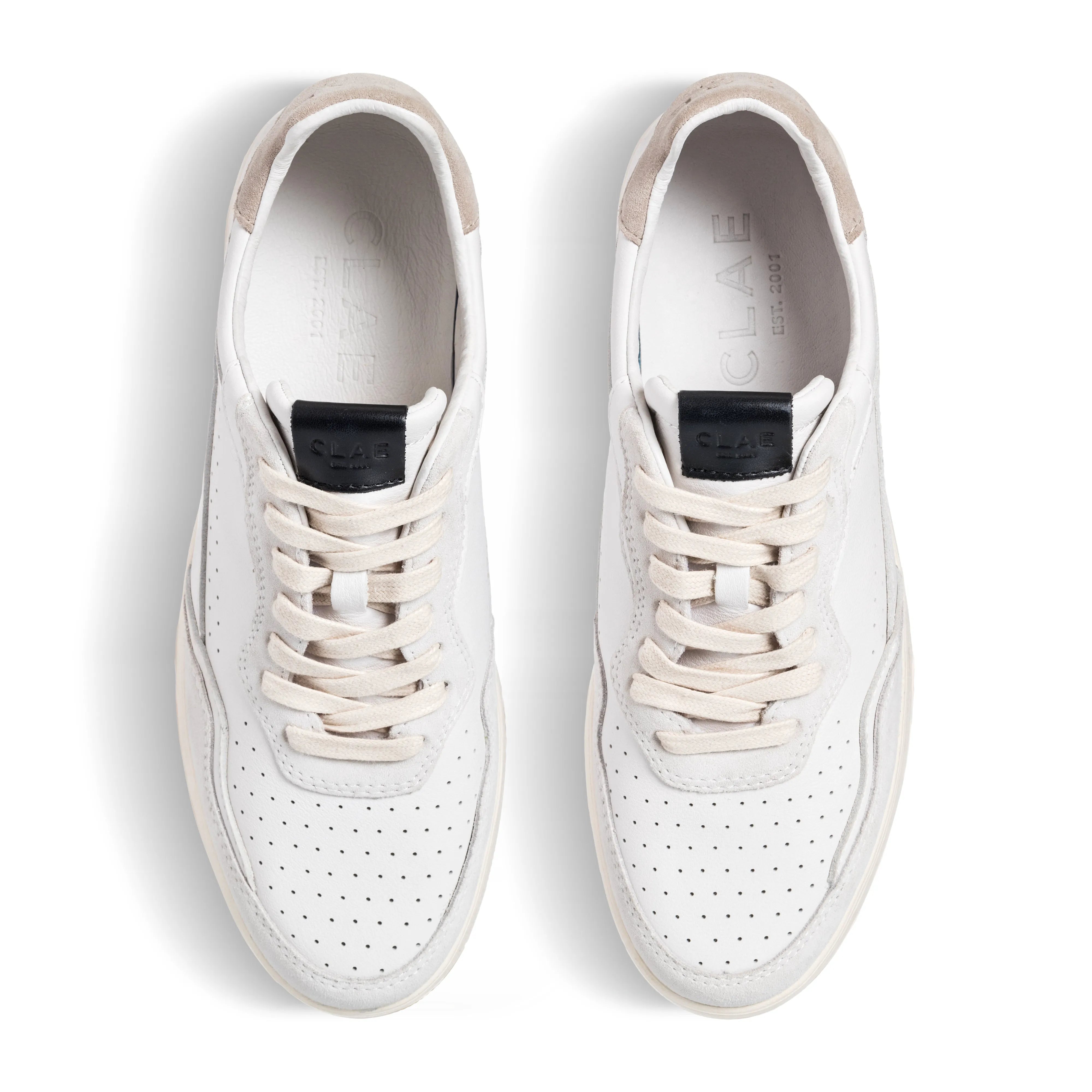 White Feather Black