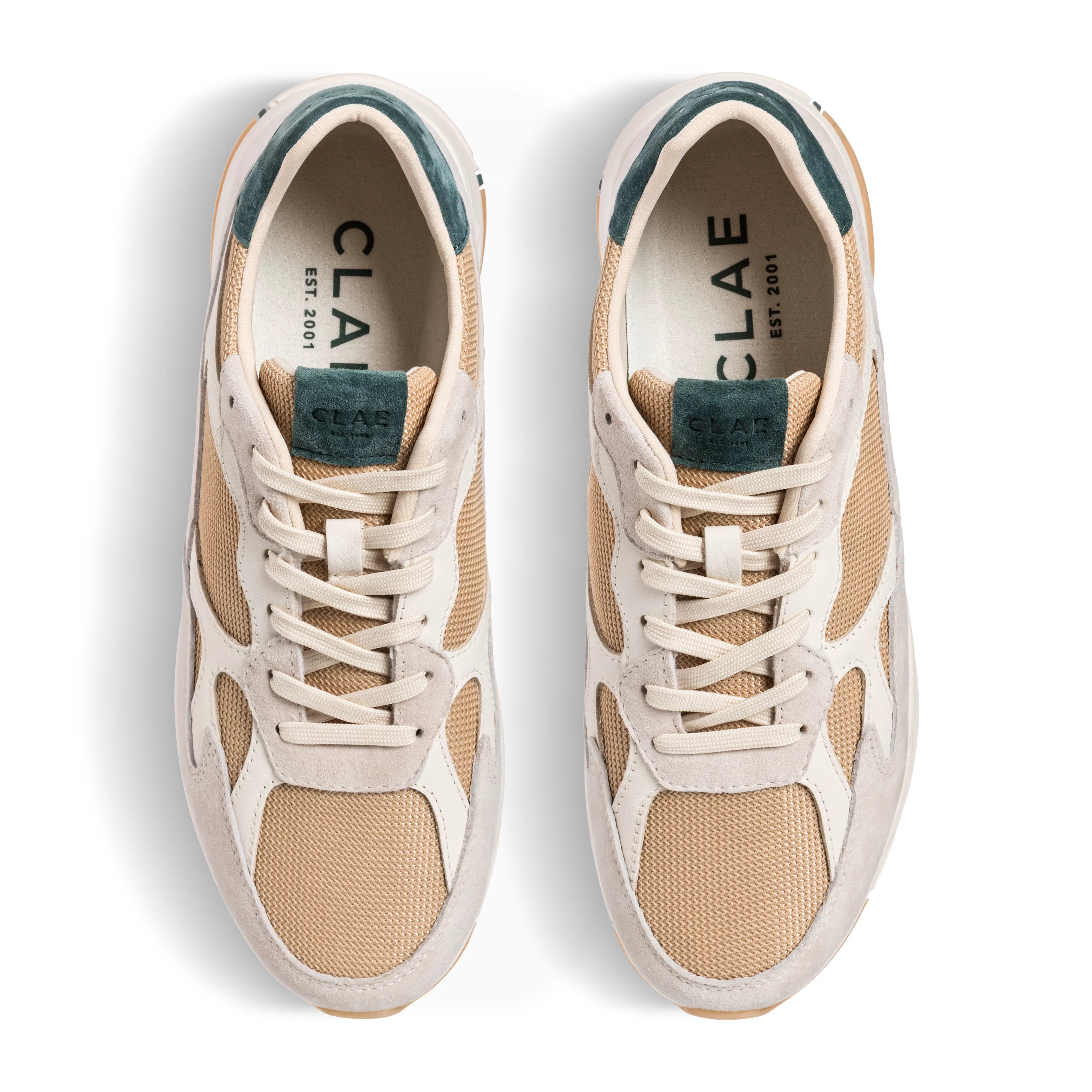 Off-White Pebble Dark Forest
